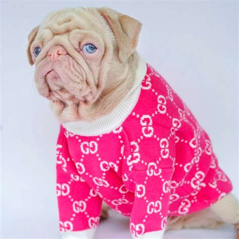 gucci pug hoodie|gucci dog clothes for sale.